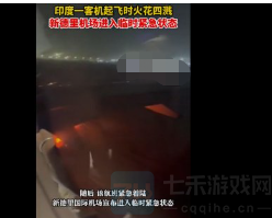 印度客机突然起火,客机突然起火最新细节爆光